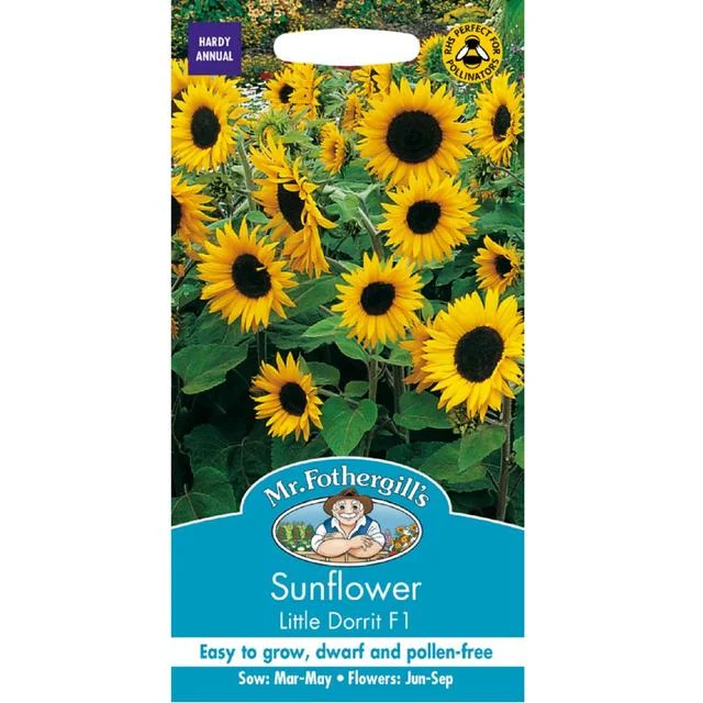 - Dog anti-slip matMr Fothergills Sunflower Little Dorrit F1 Seeds