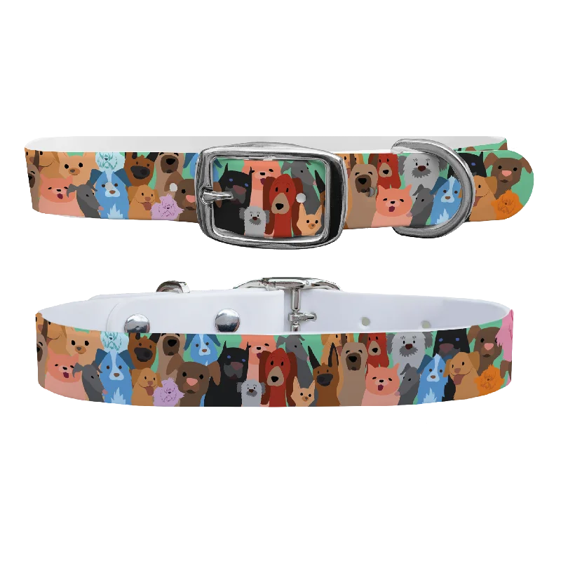 - ​​Pet toys under 10 yuanDog Party Dog Collar With Silver Buckle