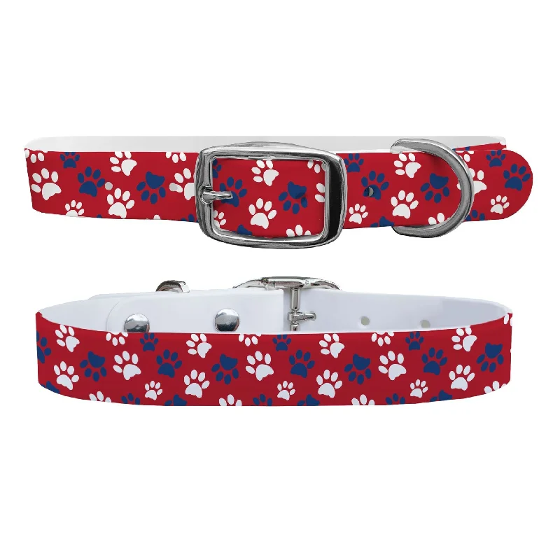 - Pet diabetes prescription foodPawtriot Red Dog Collar With Silver Buckle