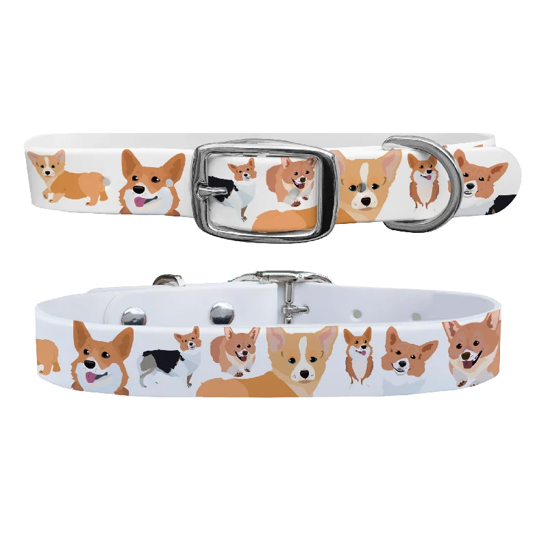 - Dog heart rate monitoring collarCorgi Dog Collar With Silver Buckle