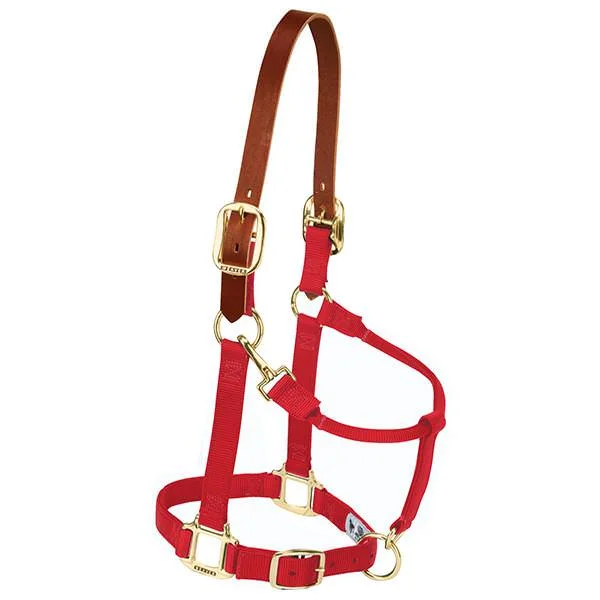 - Pet smart GPS locatorWeaver Leather Striped Padded Adjustable Chin And Throat Snap Halter Small Red 1"