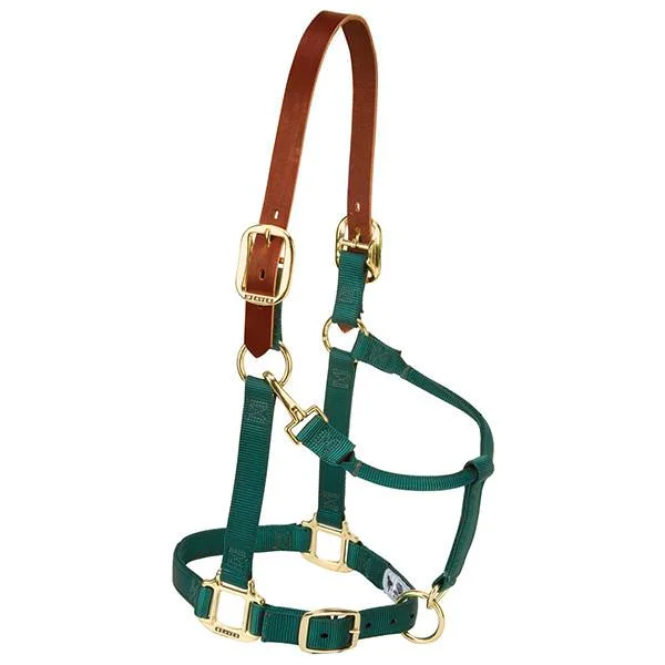 - Elderly dog ​​joint care mattressWeaver Leather Breakaway Original Adjustable Chin And Throat Snap Halter Average Green 1"