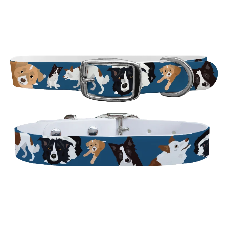 - Pet tear stain cleaning wipesBorder Collie Dog Collar With Silver Buckle