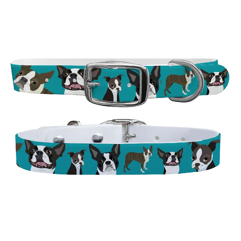 - Pet electric nail grinder silent modelBoston Terrier Dog Collar With Silver Buckle