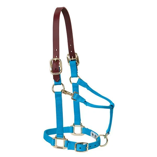 - Deodorizing cat litter tofu litterWeaver Leather Breakaway Original Adjustable Chin And Throat Snap Halter Average 1" Blue