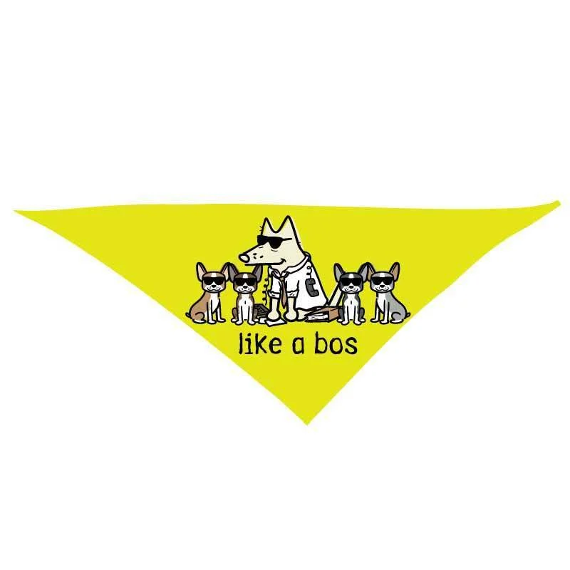 - Pregnant cat delivery room warming boxLike a Bos  - Doggie Bandana