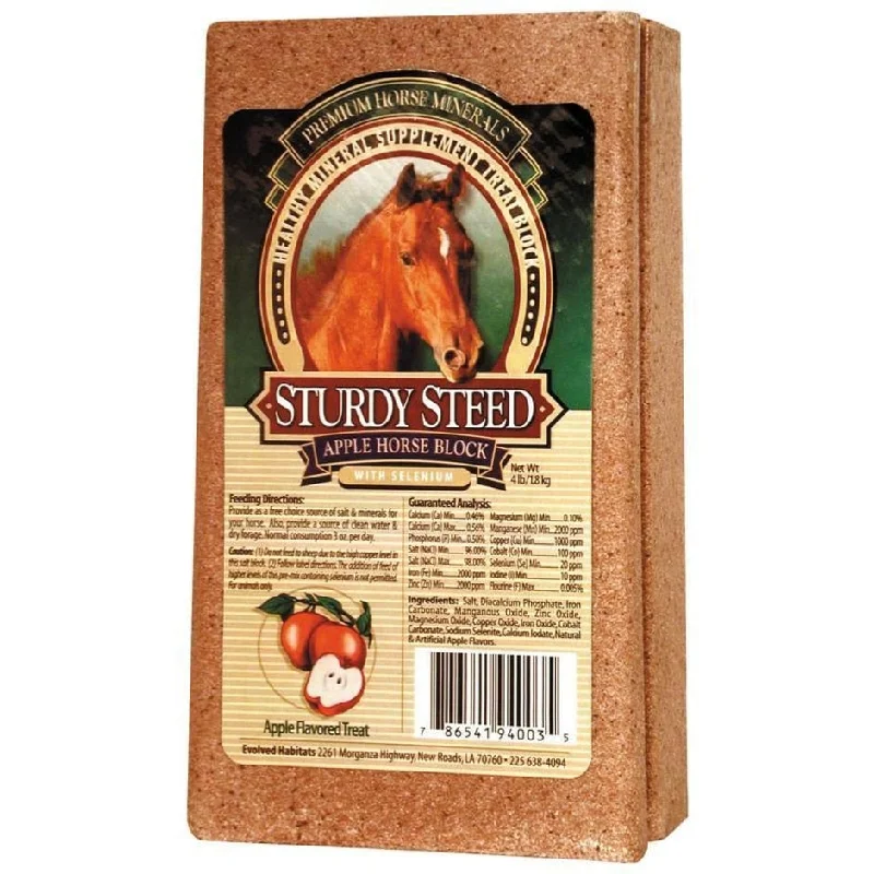 ---EVOLVED STURDY STEED HORSE SALT BLOCK